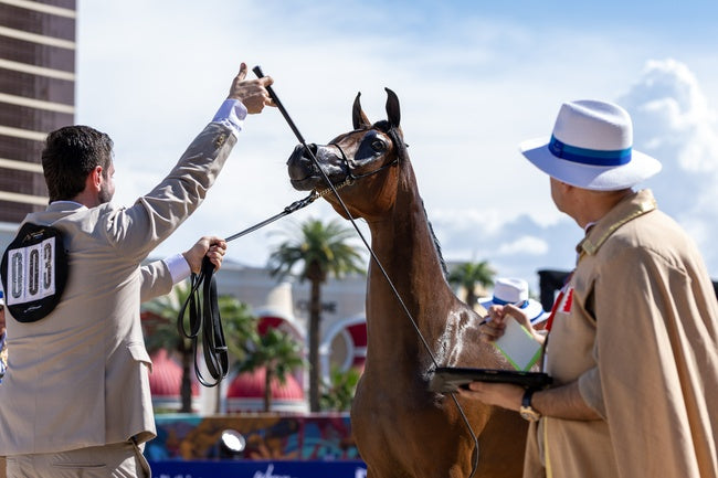 Brilianto at GCAT Americas Las Vegas 2026