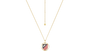 COLLAR DE ESCUDO